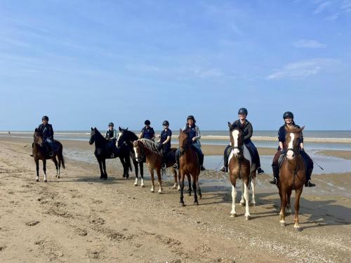 02 Beach Ride Sep 2024