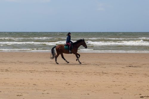 IMG 3289